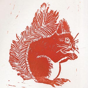 May include: A red linocut print of a squirrel sitting on its haunches, with its tail curled up behind it.
