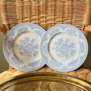 May include: Two round ceramic plates featuring a white base with a blue floral and bird transferware pattern. The design includes a central bouquet of flowers surrounded by a decorative border of intricate floral motifs and small dots.
