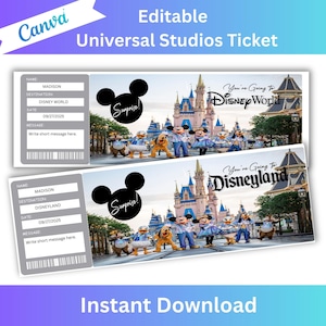 Überraschung Disneyworld Ticket, Disneyland Reiseticket, Überraschungsticket, Freizeitpark-Eintritt, druckbares Disney-Eintrittskarten, Geburtstagsgeschenk