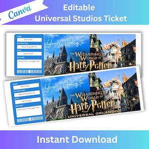 Surprise Universal Studios Ticket, Universal Wizarding World Ticket, Surprise Editable Ticket, Theme Park Ticket, Printable Universal Ticket