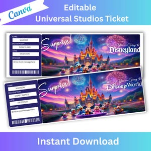 Überraschung Disneyworld Ticket, Disneyland Reiseticket, Überraschungsticket, Freizeitpark-Eintritt, druckbares Disney-Eintrittskarten, Geburtstagsgeschenk