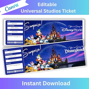 Überraschung Disneyworld Ticket, Disneyland Reiseticket, Überraschungsticket, Freizeitpark-Eintritt, druckbares Disney-Eintrittskarten, Geburtstagsgeschenk