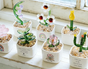 Pot de succulentes en vitrail, fleurs de naissance en pot de verre, cadeau de remerciement pour enseignant, cadeau de remerciement, cadeau pour elle, cadeaux de la Saint-Valentin