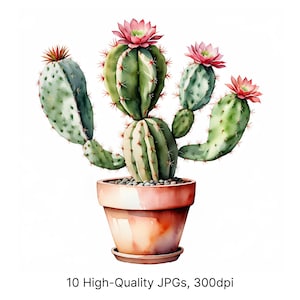10 imágenes prediseñadas de cactus en acuarela en maceta / Imágenes JPG de plantas suculentas de alta resolución para decoración bohemia, impresiones para guarderías, marca, sublimación y arte mural.