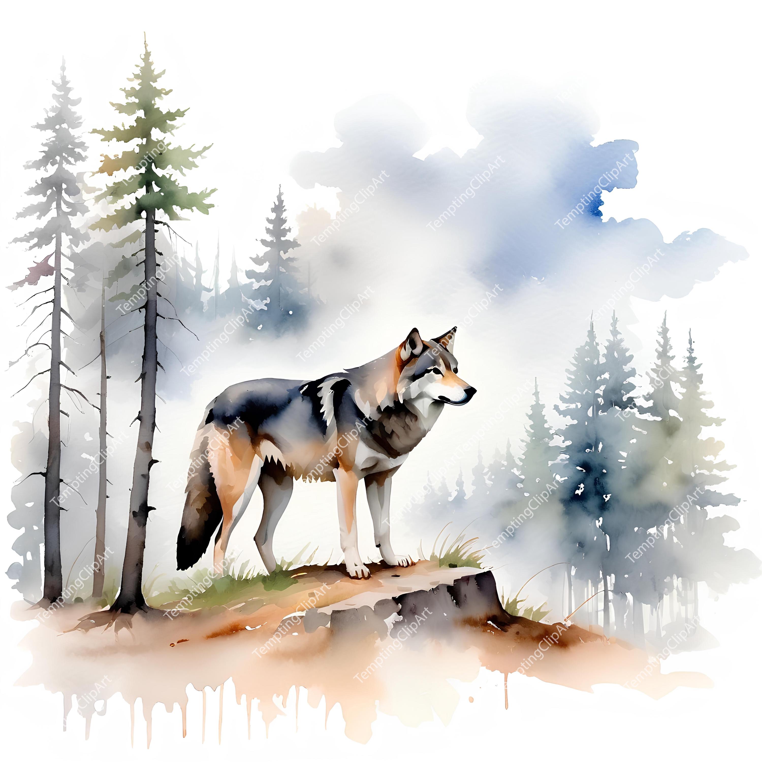 10 Watercolor Wolf Collection | Wolves in Snowy Forest & Landscapes ...