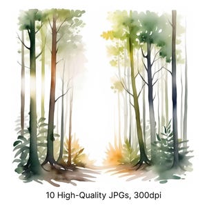 10 aquarel zonlicht door het bos clipart | Boslandschap in hoge resolutie jpg, serene natuurkunst, zonnestraalbosscène, sublimatie, decor