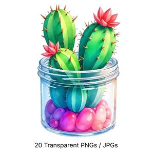 Watercolor Cactus Clipart: Floral Succulent PNG Illustrations (Digital Download)