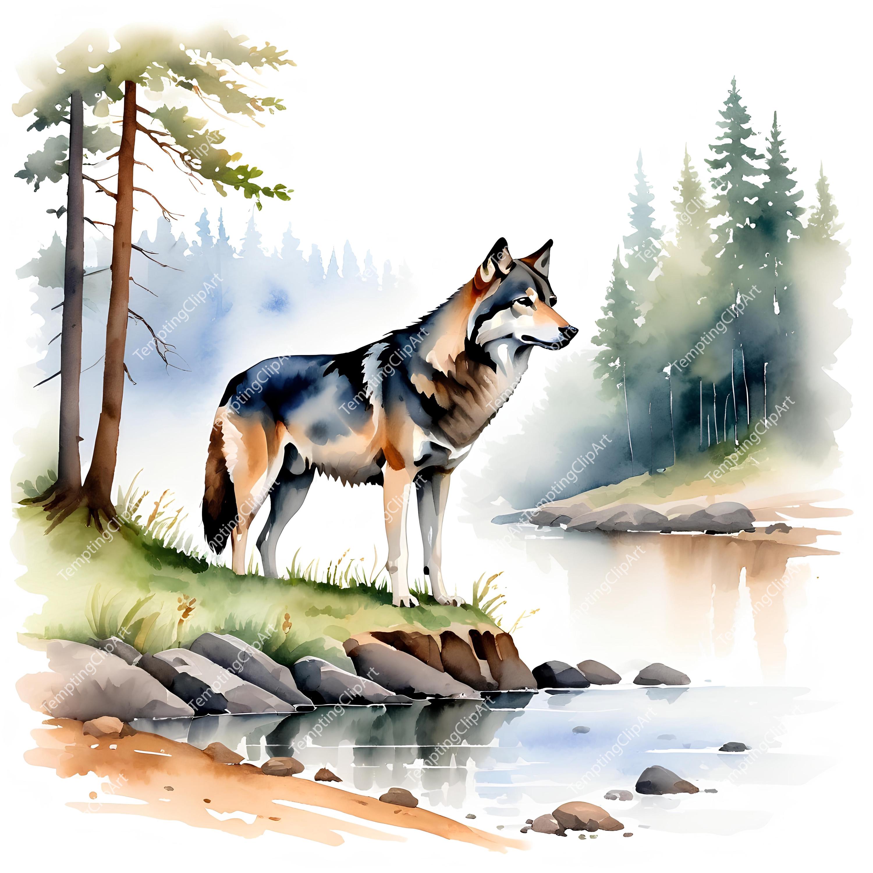 10 Watercolor Wolf Collection | Wolves in Snowy Forest & Landscapes ...