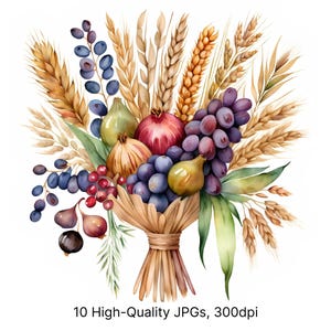 10 Clipart di sette specie ad acquerello / Bouquet boho con grano biblico, fichi, uva, melograno, olive, arte ebraica per Shavuot, decorazioni e stampe