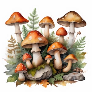 10 Watercolor Mushroom Collection | Chanterelles, Fly Agarics & Boletes with Moss and Leaves, Soft Watercolor Texture, Instant Download