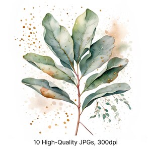 10 cliparts aquarelle de feuilles d'eucalyptus bohèmes avec des touches d'or | Art de la branche de verdure, détails flous, sublimation Botanica, JPG haute résolution