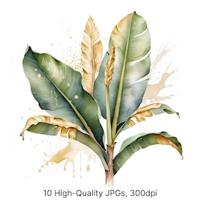 10 aquarel bananenblad cliparts | Lichtolijfgroen met gouden accenten, minimalistische botanische kunst, hoge resolutie JPG, Instant download
