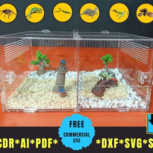 Moderne lasergesneden reptielenhabitat – doe-het-zelfbehuizing van acryl voor hagedissen, vogelspinnen - meer dxf- en svg-bestanden inbegrepen