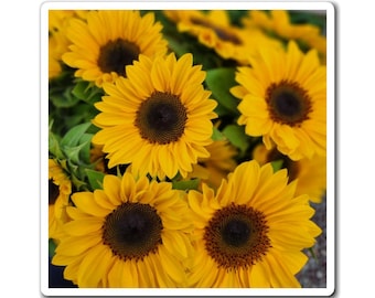Floral Sunflower Magnet, Kitchen Decor, Nature Lover Gift
