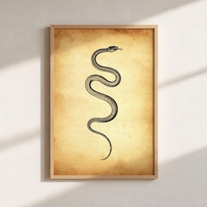 Vintage Snake Illustration Wall Art, Antique Natural History Printable (Instant Download)
