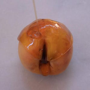 May include: A candied peach on a stick, with a glossy, amber-coloured coating. The peach is a warm, peachy-orange colour, and the candy coating is transparent, revealing the fruit beneath. The candy is dripping slightly.