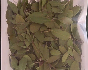 Uva Ursi Leaf, dried