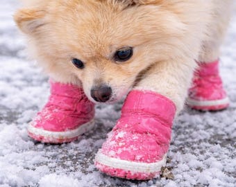 Dog Snow Boots Waterproof Small Dog Shoes Non Slip Puppy Boots Winter Pet Shoes
