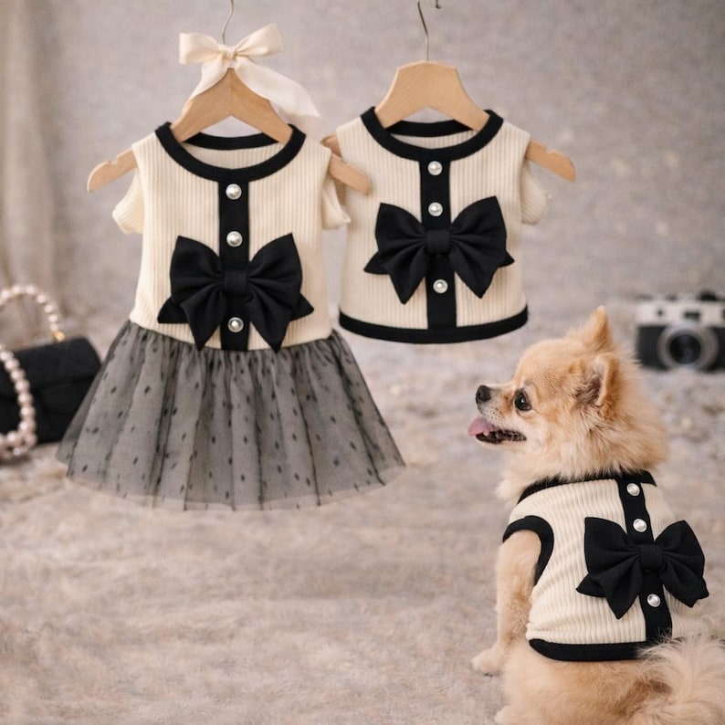 May include: Cream-colored dog outfits with black bows and trim. One outfit is a dress with a tulle skirt, and the other is a top. A small dog wears a matching top. The outfits are on wooden hangers.
