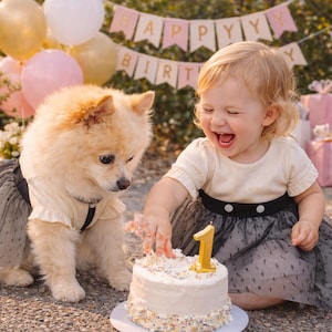 May include: A young child and a small dog are at a birthday celebration. The child is wearing a cream-colored top and a black skirt, reaching for a cake with a gold number one candle. The dog is wearing a matching outfit.