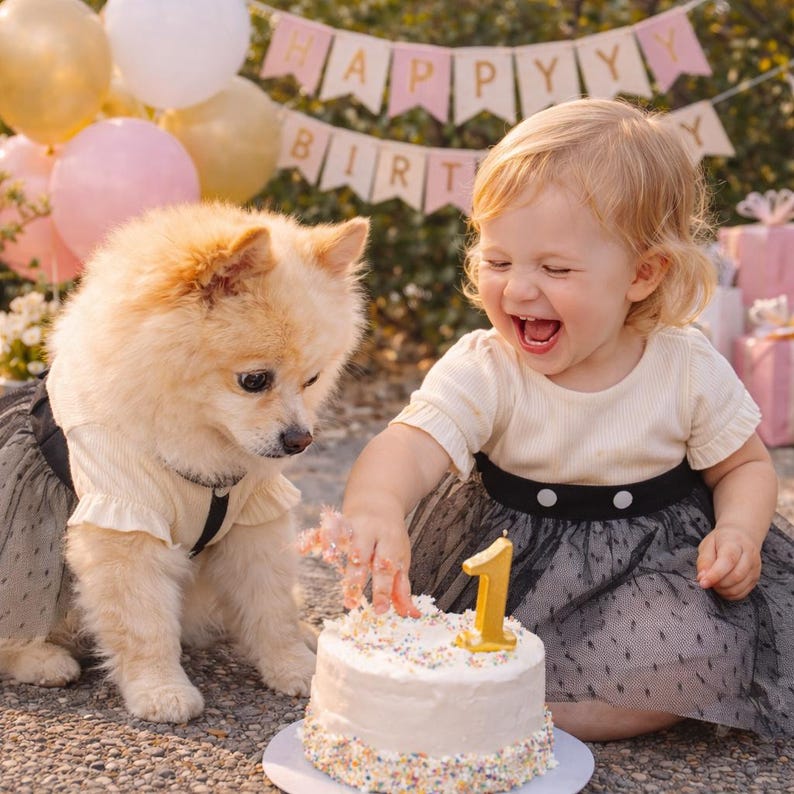 May include: A young child and a small dog are at a birthday celebration. The child is wearing a cream-colored top and a black skirt, reaching for a cake with a gold number one candle. The dog is wearing a matching outfit.