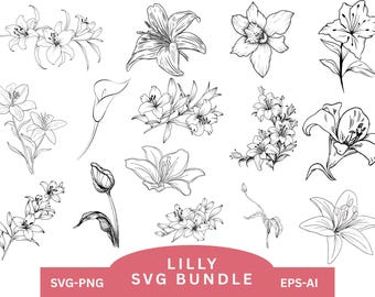 Paquete SVG de flores de lirio, arte lineal SVG de flores botánicas, flores de lirio, ramo de lirios SVG, flores de lirio PNG, archivo SVG para Cricut, descarga instantánea