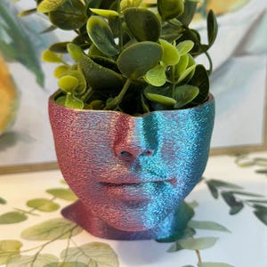Face Planter – Rainbow Edition | Shiny Silk PLA | Calm Woman’s Face | Succulent Decor | With or Without Drain Hole