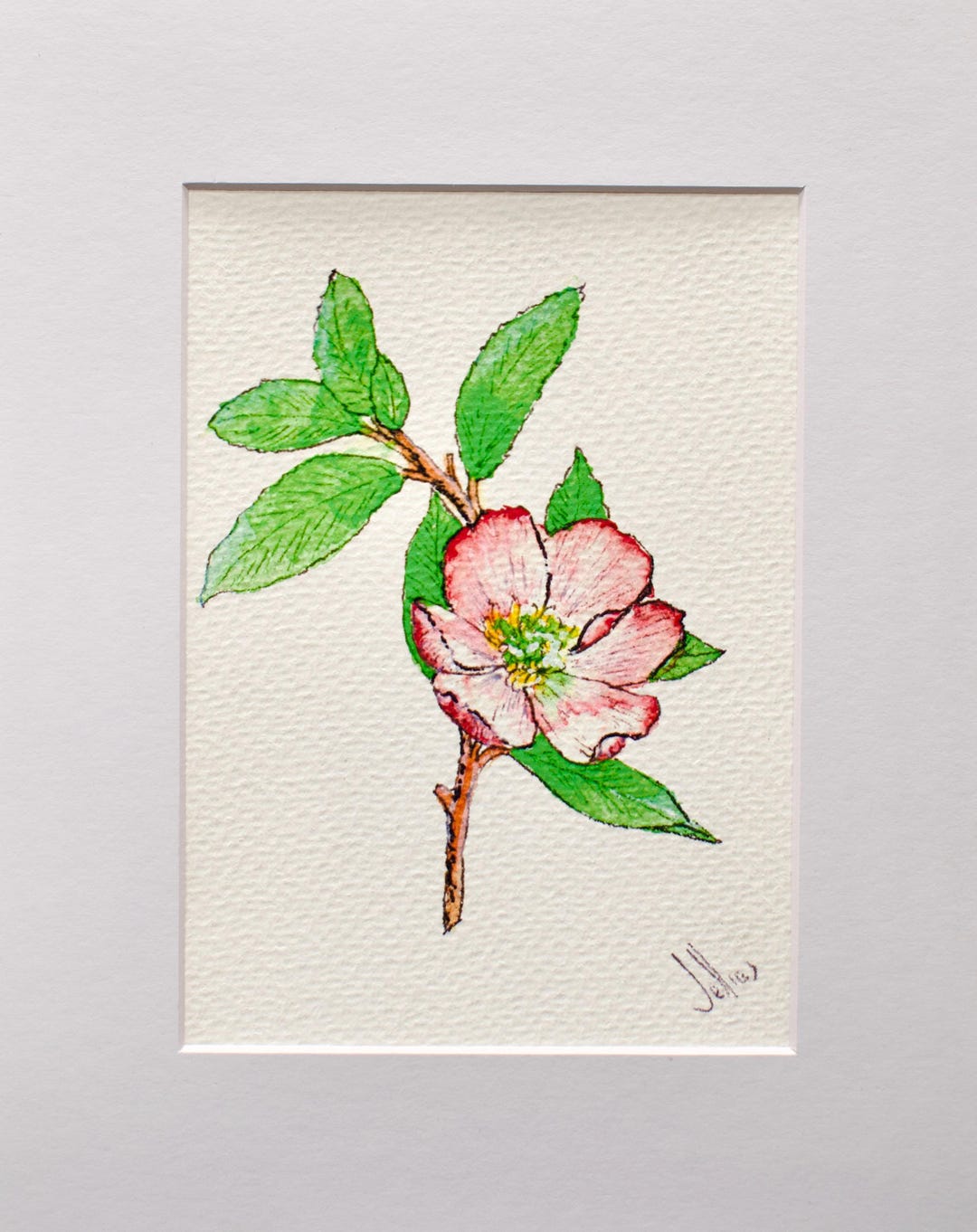 Elegant Apple Blossom Print of an Original Watercolor 5 X 7 Inches - Etsy