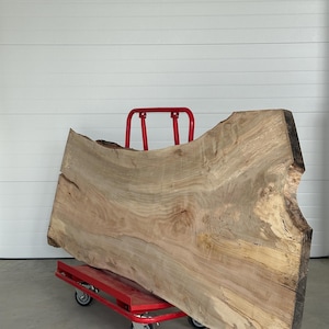 May include: A large, unfinished slab of light-colored wood with natural edges, resting on a red cart with small wheels. The wood grain is visible, showing various shades of brown and tan. The cart has a red handle.