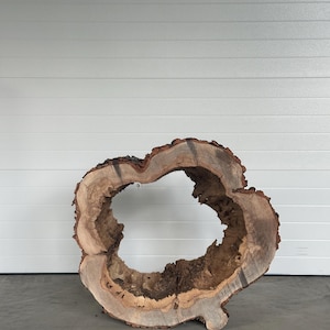 May include: A large, irregularly shaped wooden slab with a natural, hollowed-out center. The wood features a mix of light and dark brown tones, with visible grain and bark edges. The piece appears to be a cross-section of a tree trunk, suitable for rustic decor.