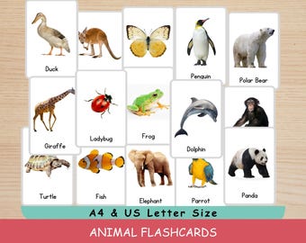 40 Printable Animal Flashcards  for Kids Learning