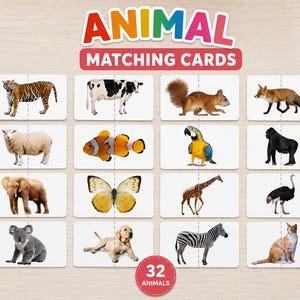 Puede incluir: Un conjunto de tarjetas rectangulares de emparejamiento de animales con dieciséis animales distintos, incluyendo un tigre, vaca, ardilla, zorro, oveja, pez payaso, loro, gorila, elefante, mariposa, jirafa, avestruz, koala, perro, cebra y gato con el texto ANIMAL MATCHING CARDS y 32 ANIMALS.