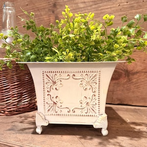 May include: A distressed white metal planter with ornate floral designs and small, decorative feet. The planter is filled with vibrant green foliage. The planter is on a wooden surface.