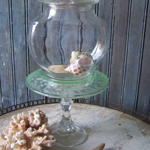 May include: A clear glass jar with a green glass base and a decorative etched design. The jar is filled with seashells and is sitting on a round, gold-colored tray.
