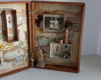 mixed media, nature diorama, garden showcase, bugs, wild flowers, plants, rustic, distressed, cigar box art