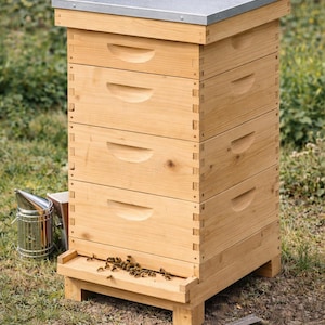 May include: A wooden beehive with a metal roof, comprising several stacked boxes with recessed handles. A stainless steel smoker and hive tool are nearby. Bees are clustered on the landing board, set in a grassy outdoor environment.