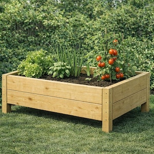 Può includere: Un'aiuola rialzata rettangolare in legno riempita di terra e varie piante, tra cui lattuga, erbe aromatiche e piante di pomodoro con pomodori rossi maturi. L'aiuola è in legno chiaro e poggia su gambe corte, posta su un prato verde.