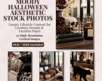 Fotos de archivo de Halloween con un ambiente sombrío / 30 imágenes con estética gótica otoñal / Estilo de vida de brujas y contenido oscuro de otoño