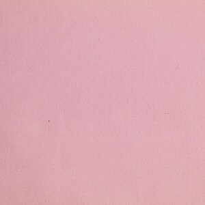 May include: A solid pink background with a smooth, even texture.