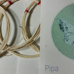 Puede incluir: Primer plano de un juego de cuerdas de guitarra blancas con ataduras rojas. Las cuerdas están enrolladas y dispuestas en un patrón circular. El fondo es una superficie blanca. La palabra "Pipa" está escrita en tinta azul en el lado derecho de la imagen.