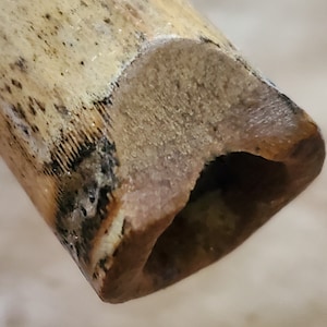 Puede incluir: Primer plano de la boquilla de una flauta de madera. La boquilla está hecha de madera marrón claro con una mancha marrón oscuro. La flauta es un instrumento tradicional japonés.