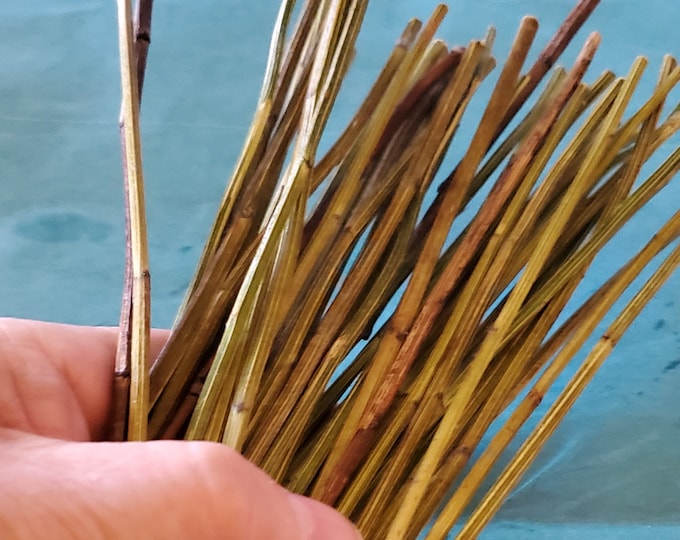 50 Yarrow Stalks for Traditional Chinese I Ching Divination 9 Long Etsy