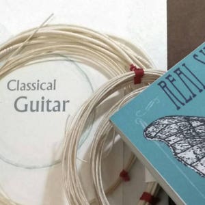 Puede incluir: Conjunto de cuerdas de guitarra clásica blancas con un folleto azul y blanco que dice "Real Silk String" y tiene una ilustración de mariposa. El folleto también dice "Classical Guitar".