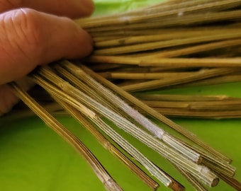 51 Yarrow Stalks for Traditional Chinese I Ching Divination 9" long