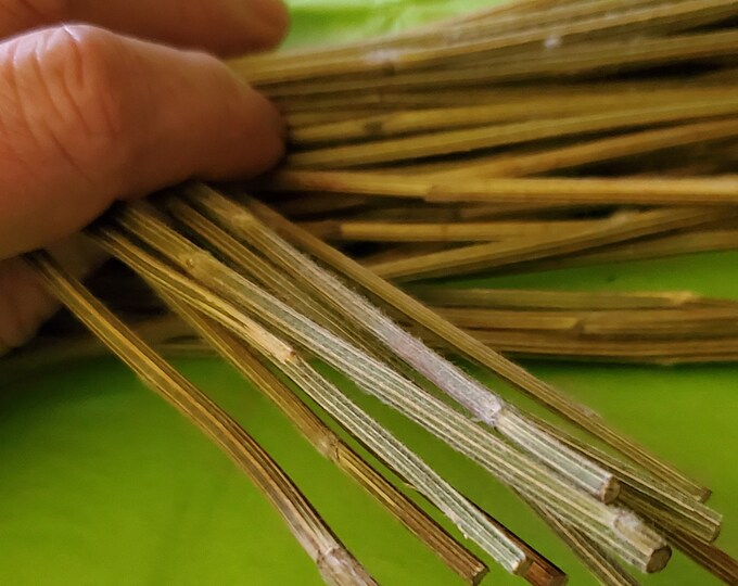 50 Yarrow Stalks for Traditional Chinese I Ching Divination 9 Long