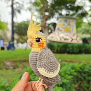 May include: A crocheted cockatiel bird with a yellow crest, grey body, and yellow and white detailing. The bird has black eyes and orange facial markings. It is held in a hand, with a blurred green park background.