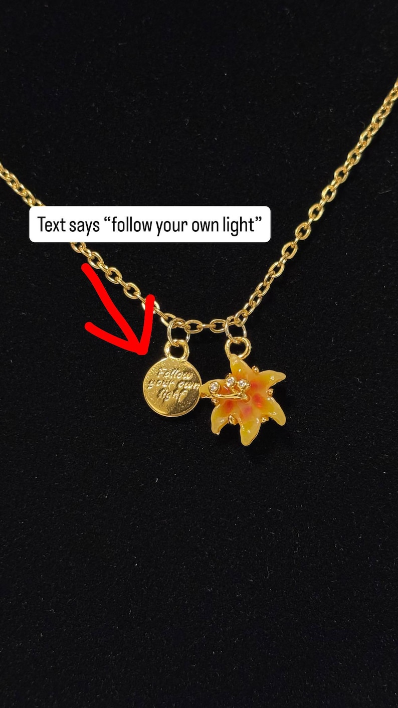 以下が含まれることがあります： 2つのチャームが付いたゴールドカラーのネックレス。1つのチャームは「Follow your own light」と書かれた丸いディスクです。もう1つのチャームは、黄色とオレンジ色の花びらと小さな透明な石が付いた花です。黒い背景にあります。
