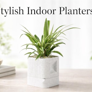 Peut inclure: Un pot de fleurs carré blanc avec un motif texturé contient une plante verte avec de longues feuilles fines. Le pot est posé sur une surface de couleur claire. Le texte "Stylish Indoor Planters" est en haut.