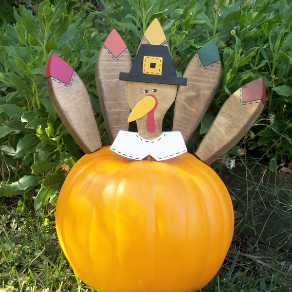 Large Turkey Pumpkin Pokes Thanksgiving Decor Pilgrim Turkey Kit