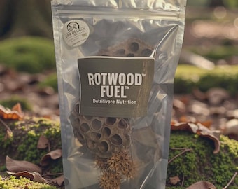 Rotwood Fuel Pods for Feeding |Grazing & Colony Growth | Isopod Seed Pods | All Natural Food